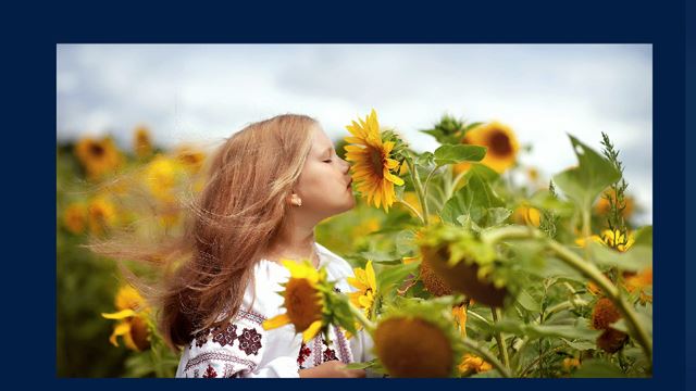 Na Switch vy�la drobn� puzzle hra Beautiful Ukraine, v��a�ok z predaja p�jde na charitat�vnu �innos� 