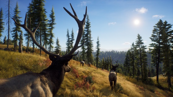 Prv screenshot zo slovenskej hry Way of the Hunter