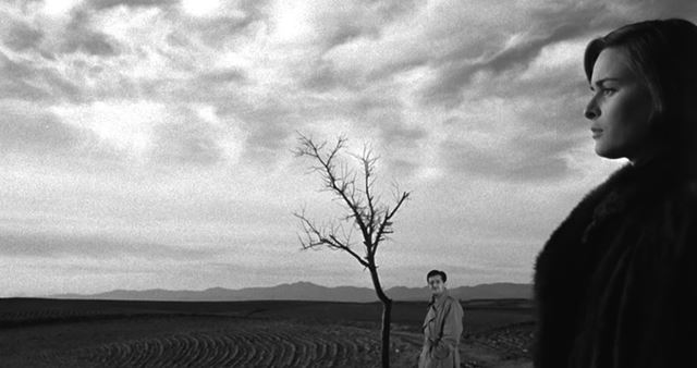 Samantha Fuller, dcra slavnho americkho reisra na Noir Film Festivale 