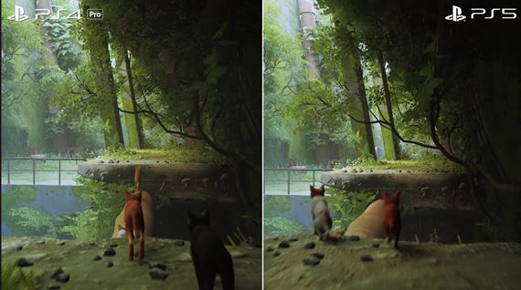 Analýza grafiky v Stray