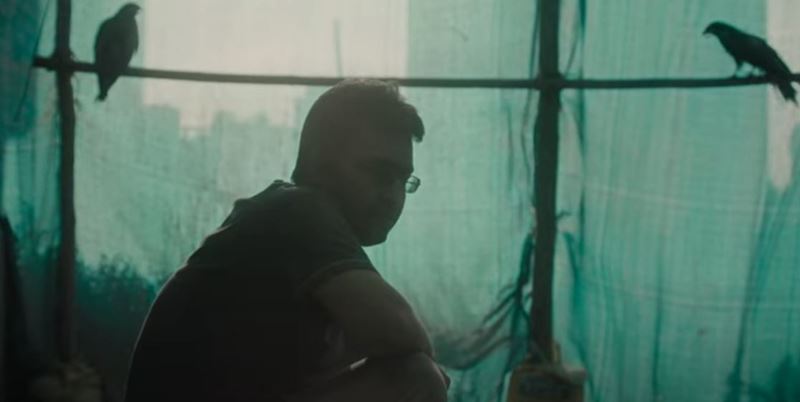 Oscary - 15 filmov, ktor zabojuj o najlep dokumentrny film 
