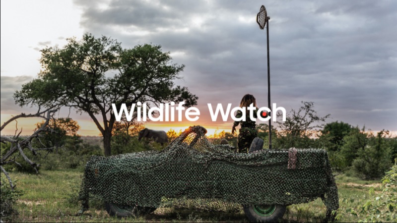 Samsung roziruje program na ochranu divokej zveri proti pytliactvu v juhoafrickej bui