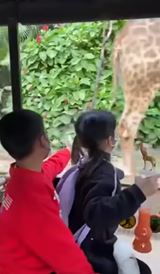 Poznávací zájazd v Zoo