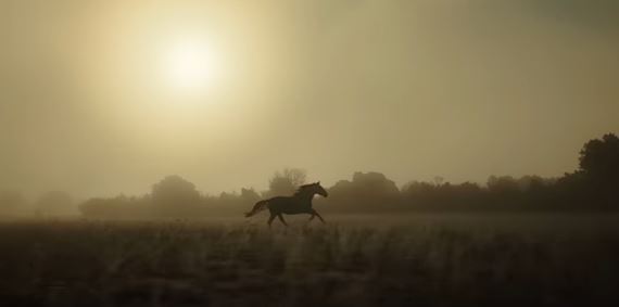 Ridley Scott natoil so Samsung Galaxy S23 Ultra mobilom krtky film