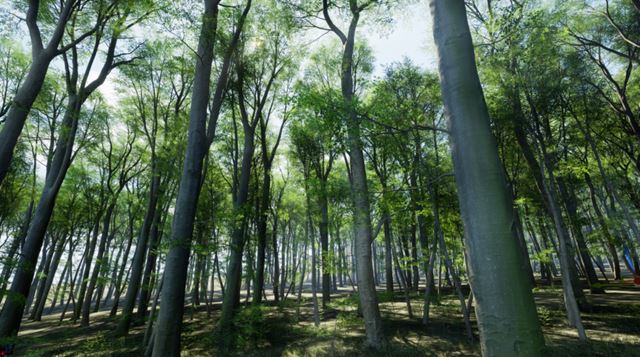 Slovensk hra Midheimur vtiahne hrov na nae zemie v piatom storo 