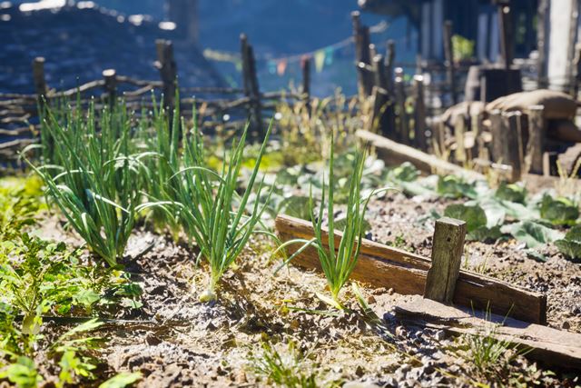 Uk�ka spracovania dediny v Unreal Engine 5 - Clifwood village 