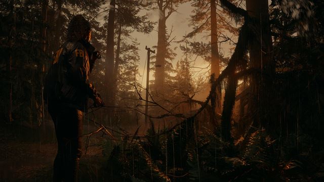 S�ria z�berov na Alan Wake 2 