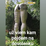 Konene som to naiel