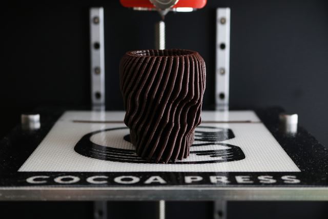 Ko�ne poriadna 3D tla�iare� ... �okol�dy 