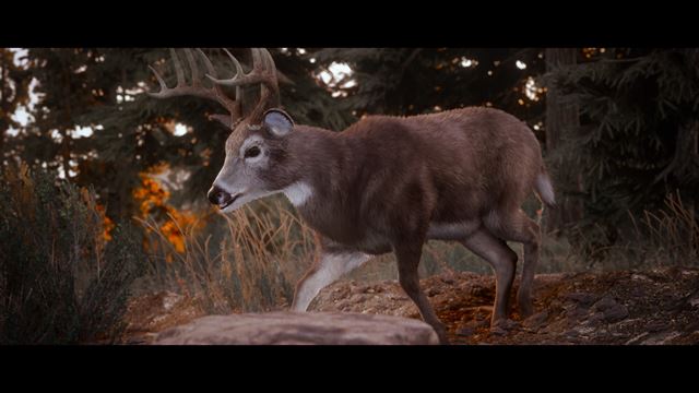 Hunting Simulator 3 bol ohl�sen� 