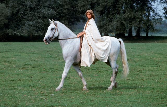 Na televzne obrazovky poas Vianoc zavta Perinbaba, Popolvr, Pacho aj alie klasick filmy 