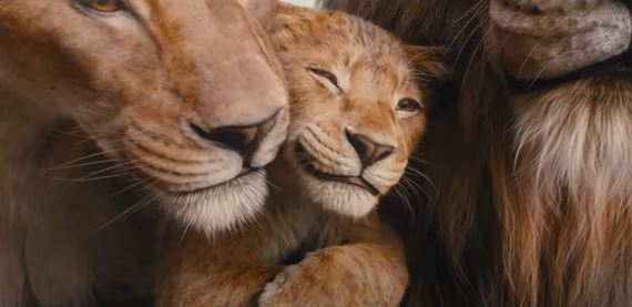 Mufasa: Levi kráľ prináša posolstvo pevnej rodiny