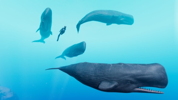 Oceánografická séria Beyond Blue s novou hrou prichádza do VR