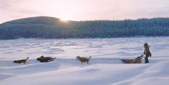 Franczsko-kanadsk rodinn film Kina a Juk: Prbeh ltiiek v kinch v kinch od 29. februra