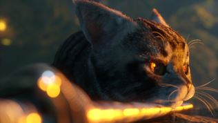 Vraednho samuraja v Spirit of the Samurai ak poriadne temn dobrodrustvo! 