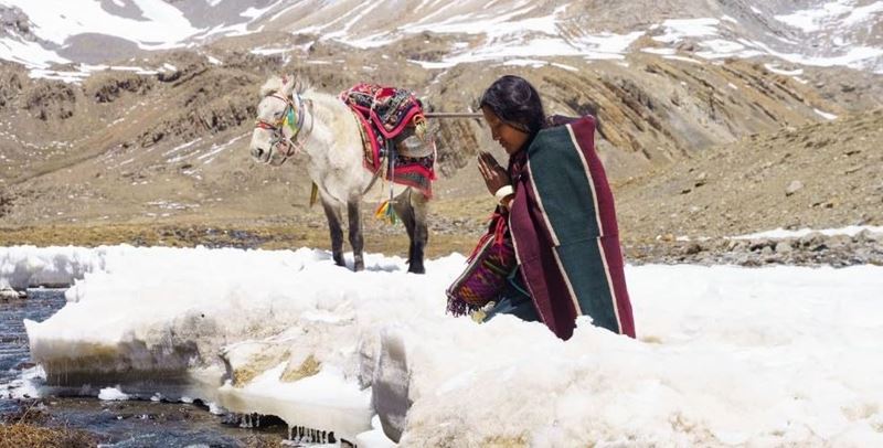 Shambhala. Neplsky film ako nov festivalov trhk?