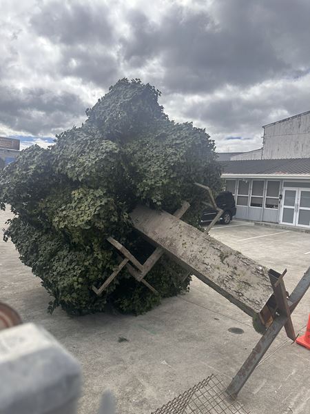 Ako vyzeraj rekvizity z Minecraft filmu?  