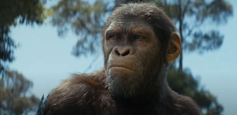 IMAX trailer na Krovstvo planty opc / Kingdom of the Planet of the Apes