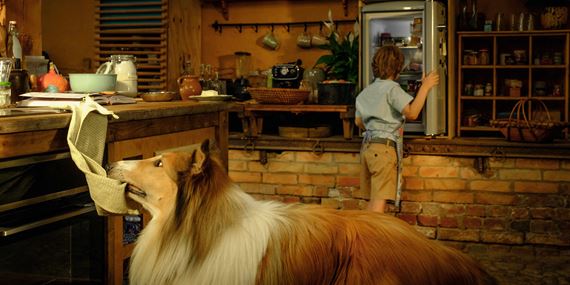 Legendárny príbeh o Lassie znova ožíva a 20. júna príde aj do našich kín