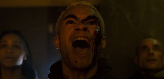 Prinesie si domov jedného pavúka, onedlho bude bojovať o život proti stovkám - francúzsky horor Háveď / Vermines