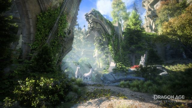 Dragon Age The Veilguard nebude hra v otvorenom svete, bude ma� aj nahotu 