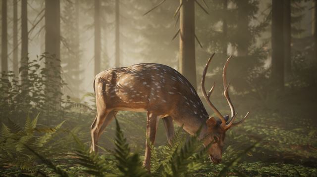 �esk� hra Middle Ages: Peasants & Knights chce pon�knu� poh�ad na autentick� stredovek� �ivot 