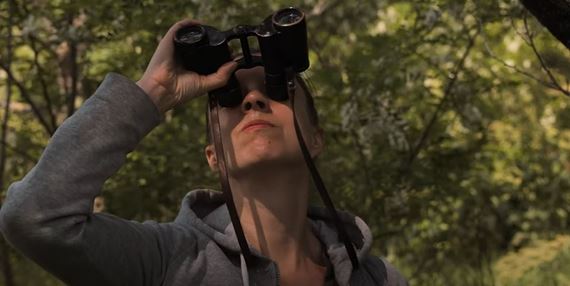 Do kín prichádza nový slovenský film Vtáčnik s ambíciou pomôcť biodiverzite našich miest