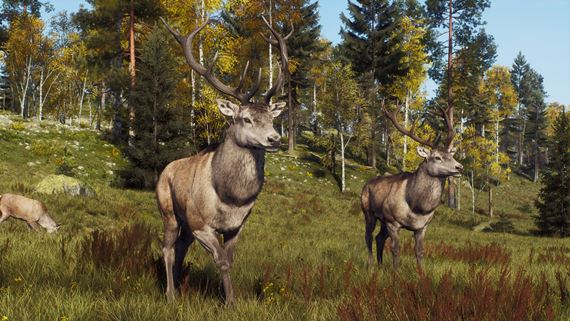 Way Of The Hunter predstavuje rezerv�ciu Lintukoto a DLC s nov�mi mapami a autami