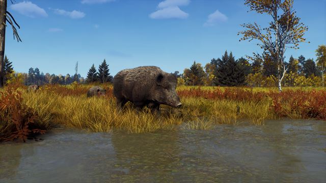 Way Of The Hunter predstavuje rezerv�ciu Lintukoto a DLC s nov�mi mapami a autami 