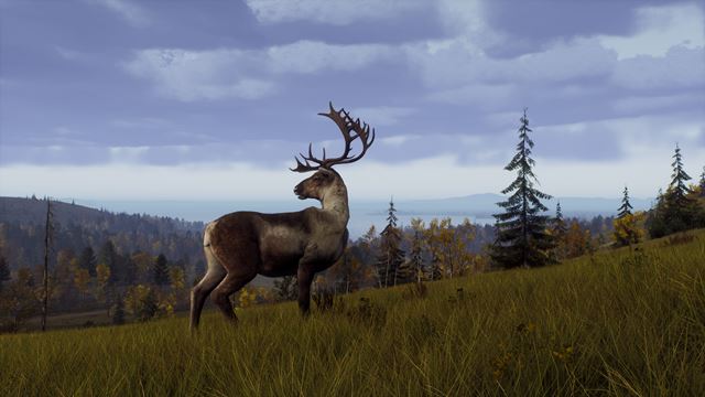 Way Of The Hunter predstavuje rezerv�ciu Lintukoto a DLC s nov�mi mapami a autami 