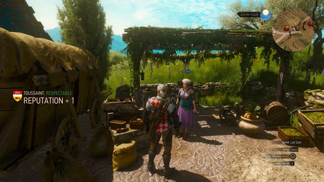 Nov� mod do Witchera 3 obnovuje zru�en� reputa�n� syst�m 