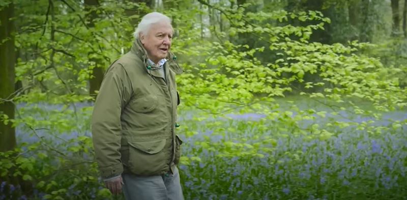 Sir Attenborough je sp a vracia sa vo zvukovej forme - Secret World of Sound with David Attenborough