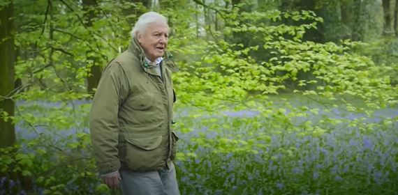 Sir Attenborough je späť a vracia sa vo zvukovej forme - Secret World of Sound with David Attenborough
