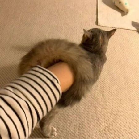 No fuj, na o to len nemyslte hne  