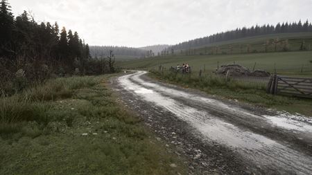 Assetto Corsa Rally ohlsen, v Early Access vychdza u v novembri  