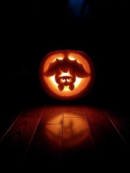 Inpircie na vyrezvan hallowenske tekvice  