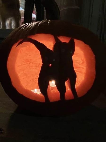 Inpircie na vyrezvan hallowenske tekvice  