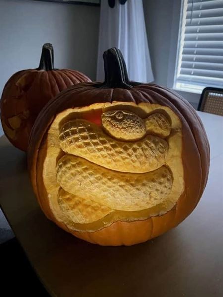 Inpircie na vyrezvan hallowenske tekvice  