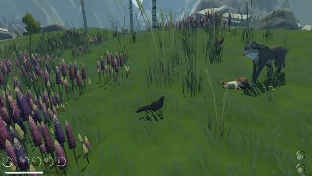 Migration v�m pon�kne vt��� �ivot, ktor� pre�ijete ako vrana 