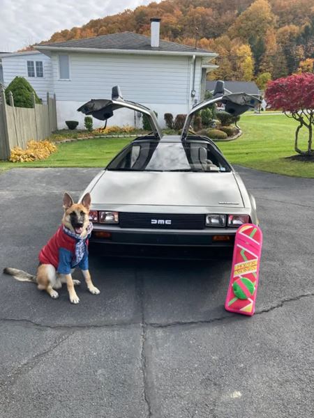 Halloweenske vkendovky   