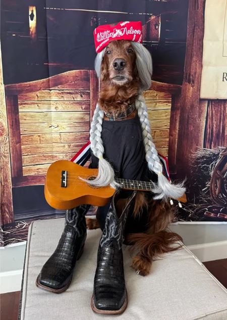 Halloweenske vkendovky   