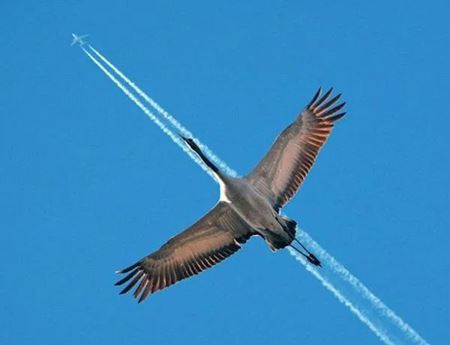 Halloweenske vkendovky   