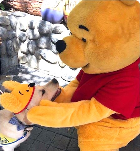 Halloweenske vkendovky   