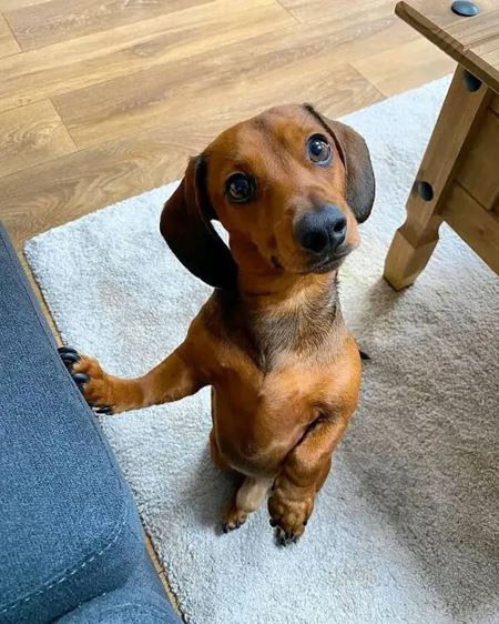 Halloweenske vkendovky   