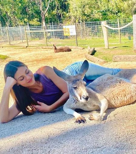 Halloweenske vkendovky   