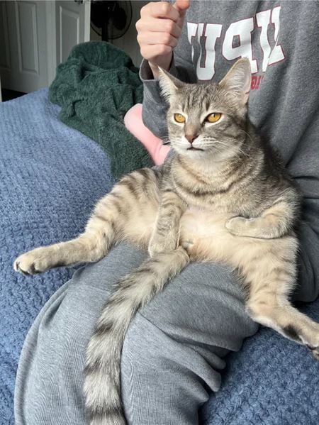 Halloweenske vkendovky   