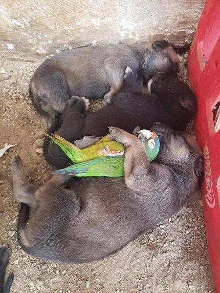 Halloweenske vkendovky   