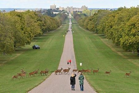 Halloweenske vkendovky   