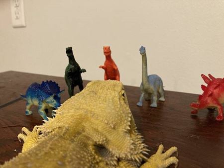 Halloweenske vkendovky   