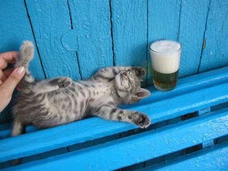 Z�bavn� zvieratk�  